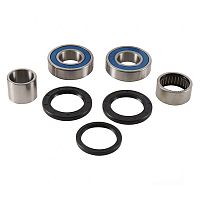 картинка Подшипник заднего колеса ALL BALLS RACING 25-1789 от магазина moto-bazar61.ru