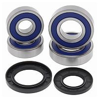 картинка Подшипник заднего колеса ALL BALLS RACING 25-1694 от магазина moto-bazar61.ru