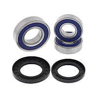 картинка Подшипник заднего колеса ALL BALLS RACING 25-1606 от магазина moto-bazar61.ru