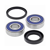 картинка Подшипник переднего колеса ALL BALLS RACING 25-1601 от магазина moto-bazar61.ru
