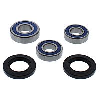 картинка Подшипник заднего колеса ALL BALLS RACING 25-1779 от магазина moto-bazar61.ru