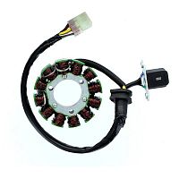 картинка Статор в сборе ElektroSport SUZUKI DRZ400E ESG180 от магазина moto-bazar61.ru