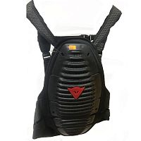 картинка Защита спины DAINESE china L 15727 L от магазина moto-bazar61.ru