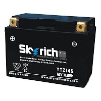картинка АКБ SKYRICH YTZ14S 12046 от магазина moto-bazar61.ru
