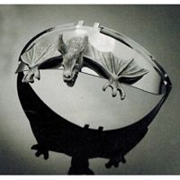 картинка Накладка на фару BAT VISOR LARGE 300GRAMM от магазина moto-bazar61.ru
