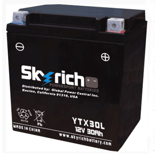 картинка АКБ SKYRICH YTX30L-BS 21155 от магазина moto-bazar61.ru