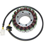 картинка Статорная обмотка ElektroSport V-MAX ESG089 от магазина moto-bazar61.ru